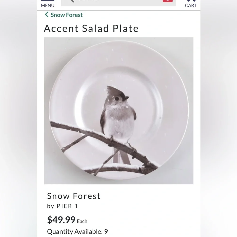 Pier 1, Snowy Tufted Titmouse on Branch. Salad Plate is 8.5” wide.